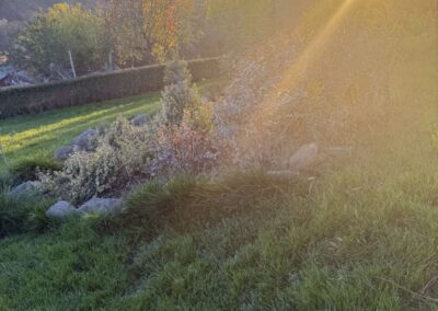 viber izobrazhenie 2025 12 06 20 57 24 350