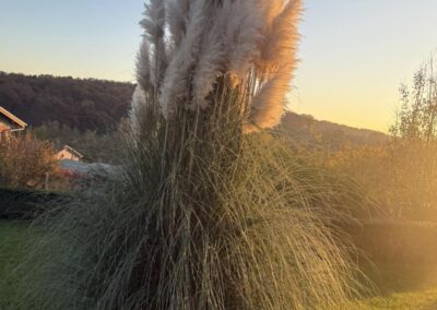 viber izobrazhenie 2025 12 06 20 57 24 677